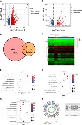 Identification and Validation of an 6-Metabolism-Related Gene Signature and Its Correlation With Immune Checkpoint in Hepatocellular Carcinoma